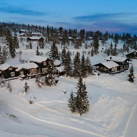 Lovsangeren 1,5 Hour From Oslo - 6 Bedrooms - 14 Sleeps - Sauna Nordset
