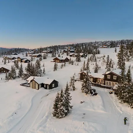 Lovsangeren 1,5 Hour From Oslo - 6 Bedrooms - 14 Sleeps - Sauna Villa *