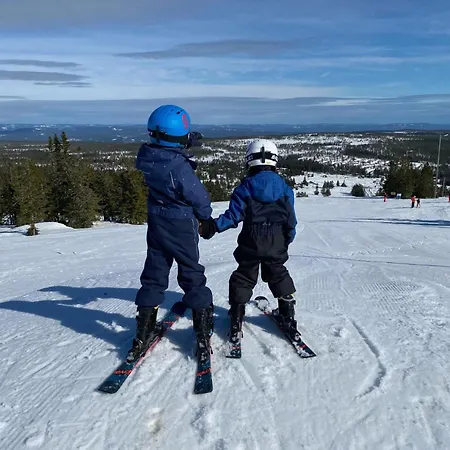 Lovsangeren 1,5 Hour From Oslo - 6 Bedrooms - 14 Sleeps - Sauna * Nordset