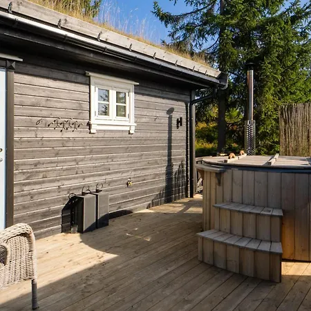 Lovsangeren 1,5 Hour From Oslo - 6 Bedrooms - 14 Sleeps - Sauna Villa Nordset