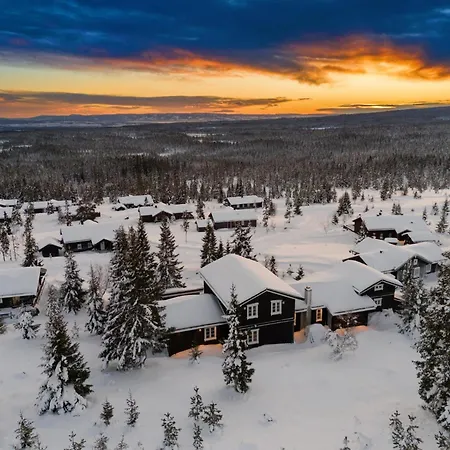 Lovsangeren 1,5 Hour From Oslo - 6 Bedrooms - 14 Sleeps - Sauna Villa