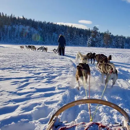 Budor - Lovsangeren 7 - 60 Min Osl - Badstu - Badestamp - 7 Soverom3 Bad Βίλα Nordset