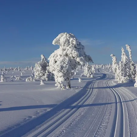 Lovsangeren 1,5 Hour From Oslo - 6 Bedrooms - 14 Sleeps - Sauna